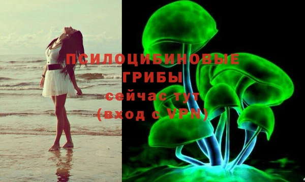 прущие грибы Алексеевка