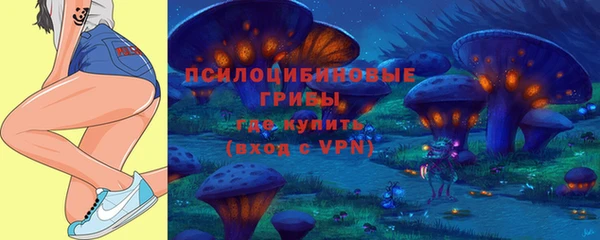 ПСИЛОЦИБИНОВЫЕ ГРИБЫ Алзамай