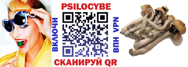 Псилоцибиновые грибы Cubensis  где продают   Муравленко 