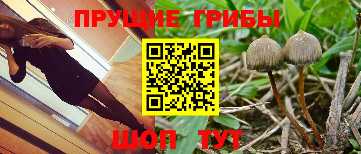 Псилоцибиновые грибы GOLDEN TEACHER  Вход с VPN  Муравленко 
